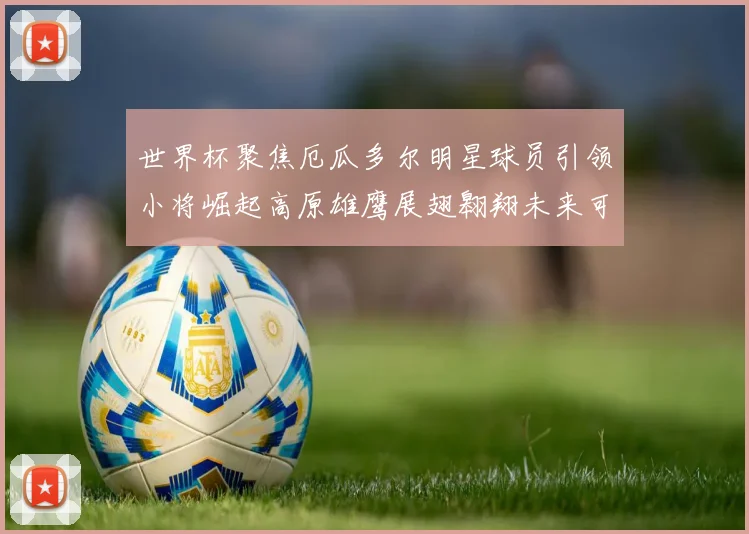 世界杯聚焦厄瓜多尔明星球员引领小将崛起高原雄鹰展翅翱翔未来可期