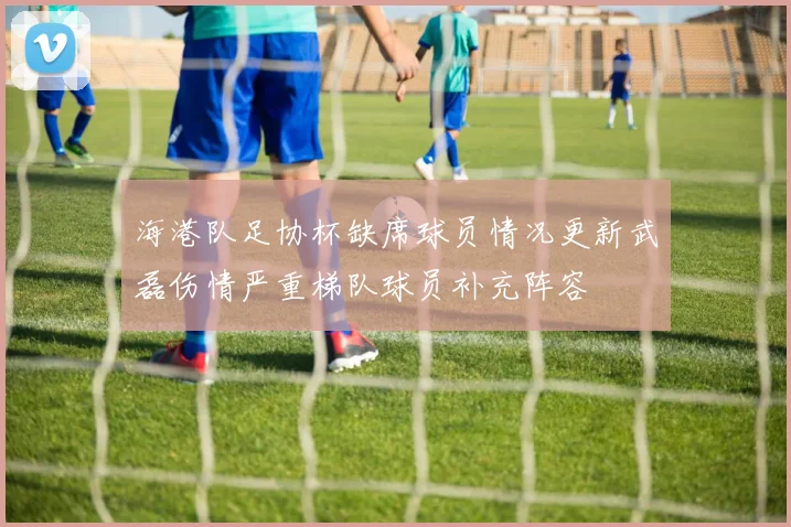 海港队足协杯缺席球员情况更新武磊伤情严重梯队球员补充阵容