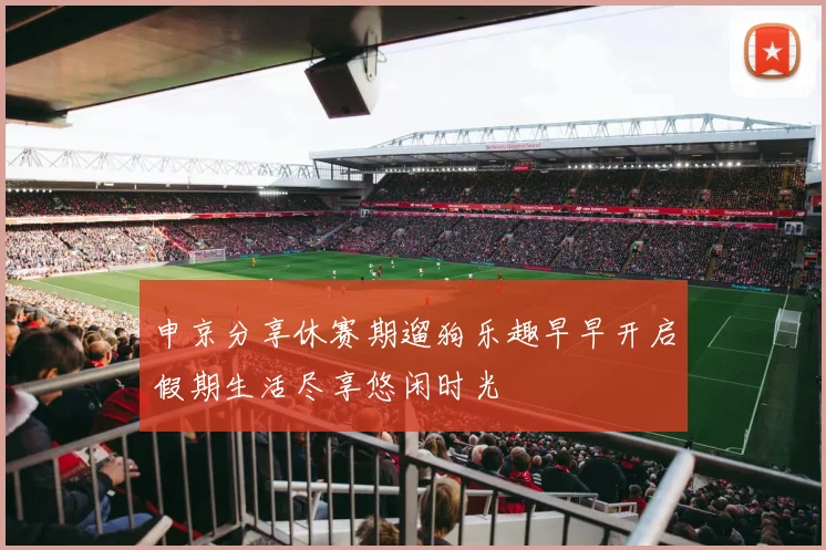 申京分享休赛期遛狗乐趣早早开启假期生活尽享悠闲时光